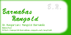 barnabas mangold business card
